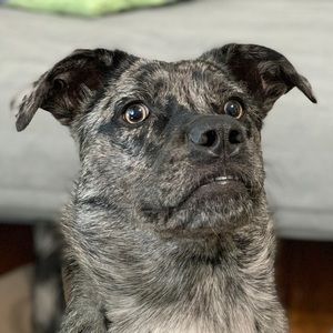 Meet your Posher, Jiakun